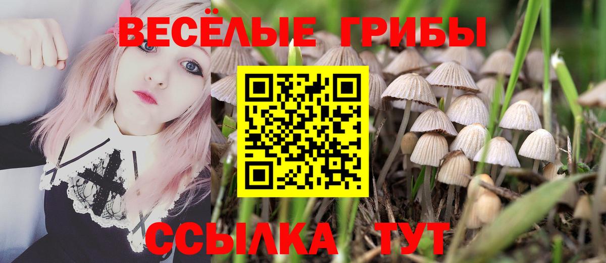Копейск  Псилоцибиновые грибы мухоморы  Вход с VPN  Галлюциногенные грибы прущие грибы 