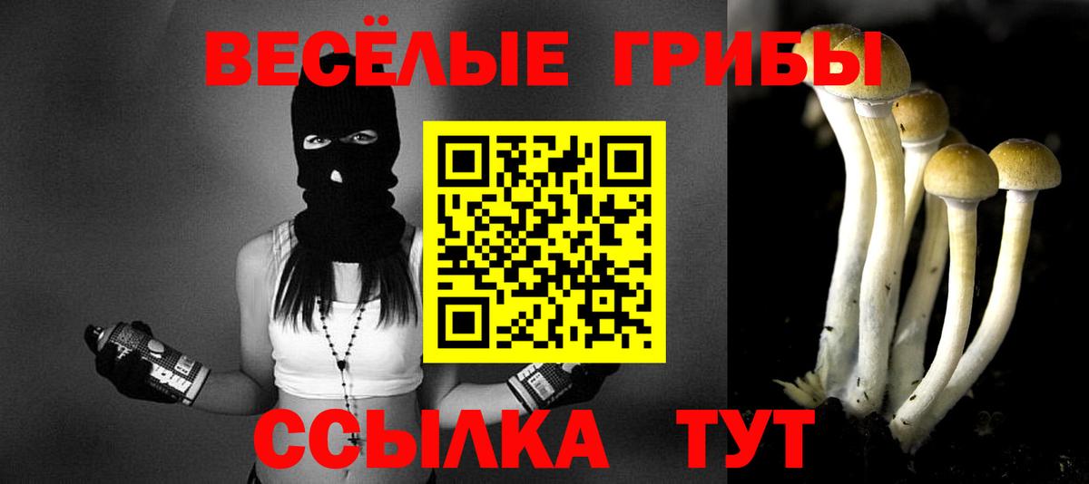 Псилоцибиновые грибы Magic Shrooms Копейск